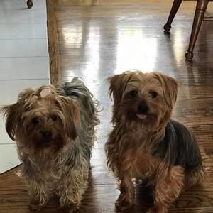 Meet your Posher, Sharon